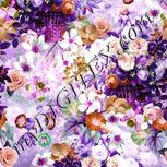 Colour:B