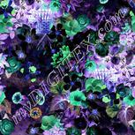 Colour:F