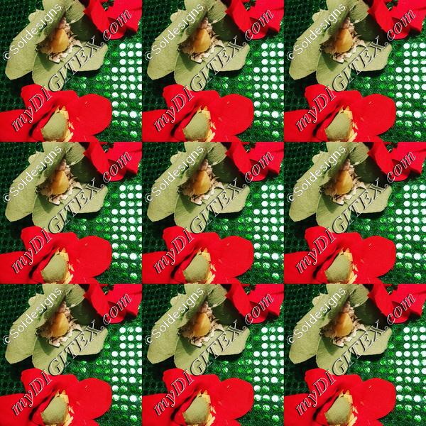 Canary Flowers Series 4