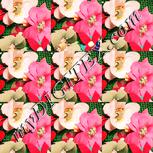 Colour:J