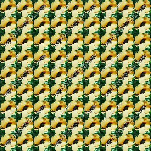 Sunflower  Row