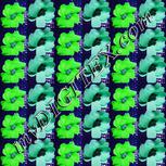 Colour:C