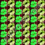 Colour:D