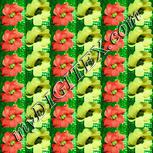 Colour:K