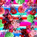 Colour:B