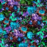 Colour:F