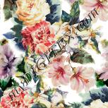 Colour:A