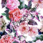 Colour:B