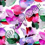 Colour:B
