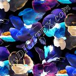 Colour:F