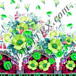 Colour:C