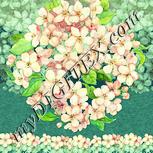 Colour:K