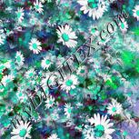 Colour:C