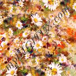 Colour:J