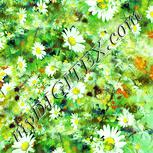 Colour:K