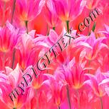 Colour:J