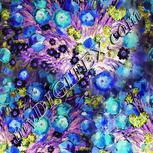 Colour:F