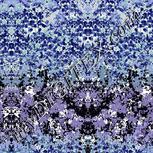 Colour:F