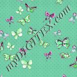 Colour:C