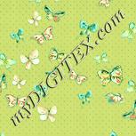 Colour:K