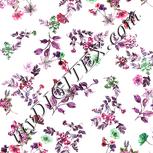Colour:B