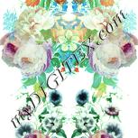 Colour:K
