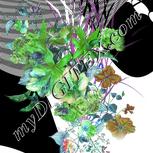 Colour:C