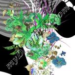 Colour:D
