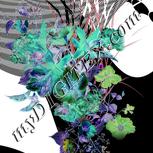 Colour:F