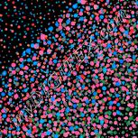 Colour:F