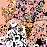 Colour:B