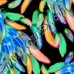 Colour:F