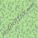 Colour:B