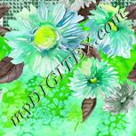 Colour:D