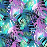 Colour:C