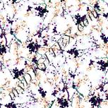 Colour:B