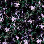 Colour:F