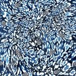 Colour:F