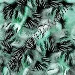 Colour:C