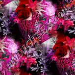 Colour:B