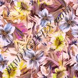 Colour:J
