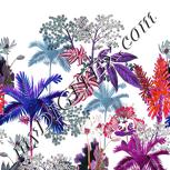 Colour:B
