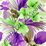 Colour:D