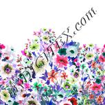Colour:B