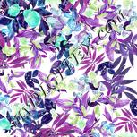 Colour:C