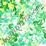 Colour:K
