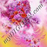 Colour:B