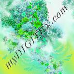 Colour:C