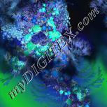 Colour:F