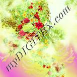 Colour:K